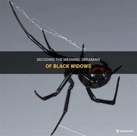 The Symbolism of Dreaming of a Male Black Widow