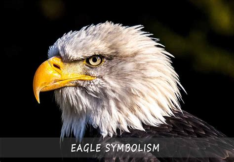 The Symbolism of Eagles: Unleashing Your Inner Strength