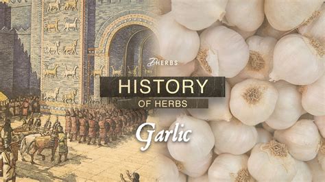 The Symbolism of Garlic: From Warding Off Malevolent Spirits to Enhancing Love and Fertility