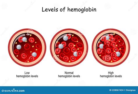 The Symbolism of Hemoglobin in Dreams