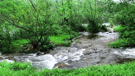 The Symbolism of Immersing Oneself in Murky Streams