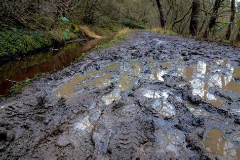 The Symbolism of Journeying Along a Muddy Path