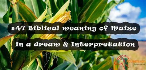 The Symbolism of Maize in Dreams