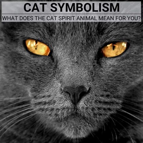 The Symbolism of Midnight Felines in Dreamscapes