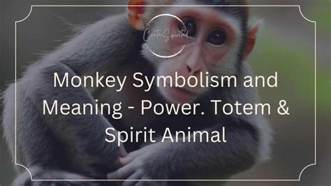 The Symbolism of Primates: Exploring the Significance Behind Monkey Imagery