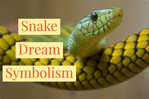 The Symbolism of Snake Dreams