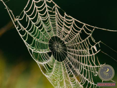 The Symbolism of Spider Webs: Insights into Dreams