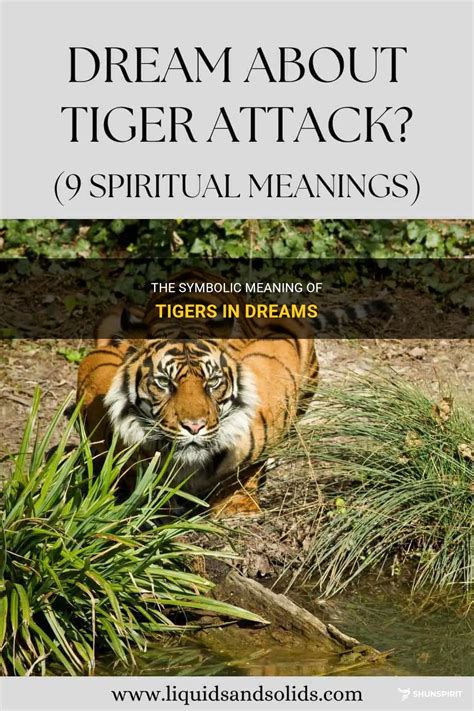 The Symbolism of Tigers in Dreams