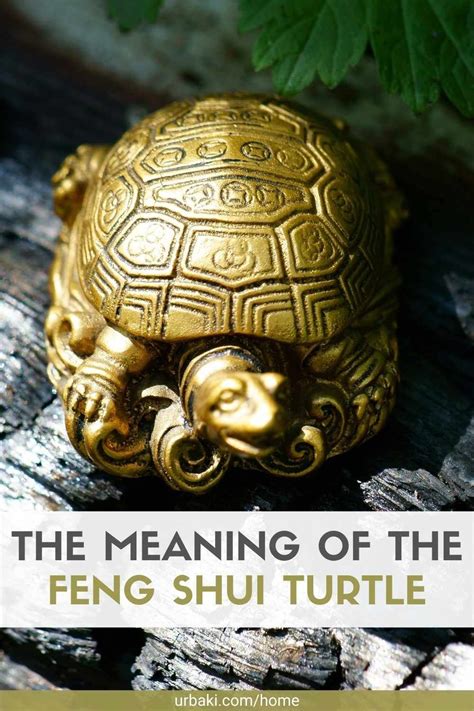 The Symbolism of the Golden Tortoise in Feng Shui Practices