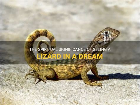 The Symbolism of the Lizard in Dreams