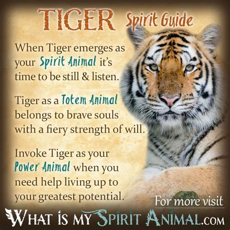 The Symbolism of the Tiger: Power, Passion, and Transformation