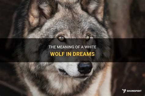 The Symbolism of the Wolf in Dreams: A Deeper Look