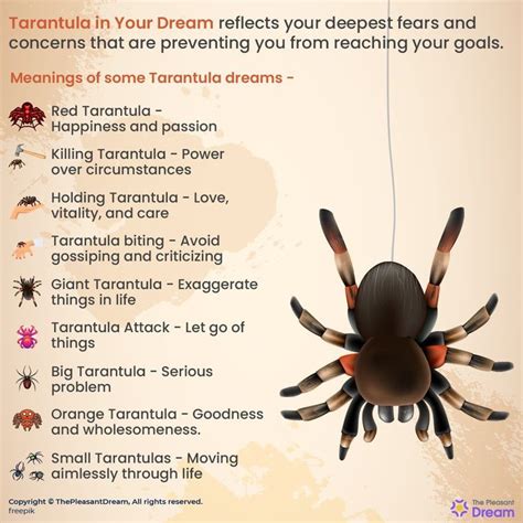 The Tarantula as a Symbol of Dread