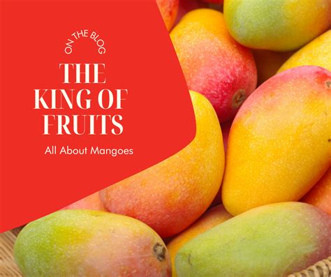 The Temptation of Mangoes: The Monarch of Fruits