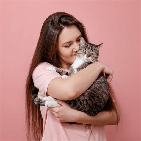 The Therapeutic Benefits of Feline Companionship