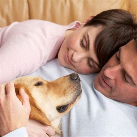 The Therapeutic Benefits of Petting and Cuddling a Canine Companion