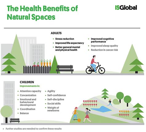 The Therapeutic Influence of Natural Environments: Advantages of Verdant Spaces for Mental Well-being