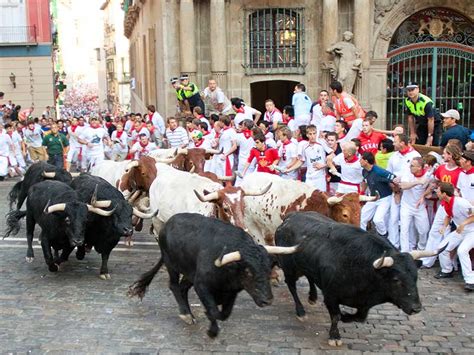 The Thrill and Anticipation: Personal Accounts from Enthusiasts of the Bull Running Tradition