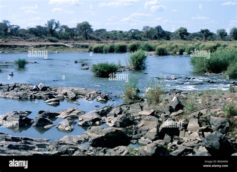 The Timeless Journey along the Majestic Crocodile River