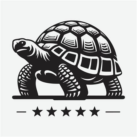 The Tortoise: A Representation of Wisdom and Longevity