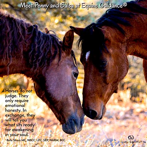 The Transformative Influence of Equine Dreaming: Awakening Emotional Wellness