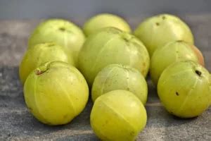 The Transformative Power of Amla: Enhancing Health and Amplifying Beauty