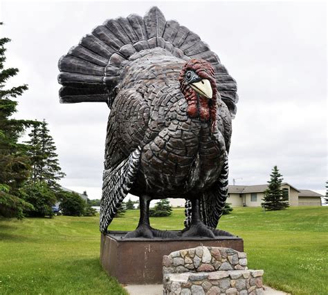 The Turkey Trophy: Exploring the World's Largest Turkeys and the Quest for Record-Breaking Feats