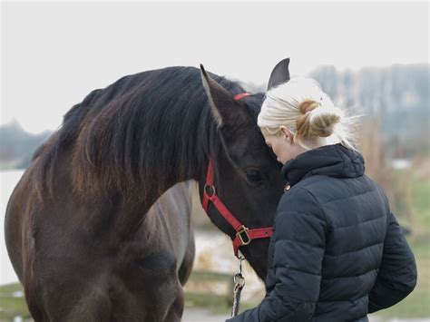 The Ultimate Bond: Exploring the Connection Between Rider and Passenger