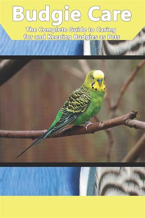 The Ultimate Guide to Owning Budgerigars as Companions 