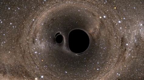 The Unclear Boundary between Reality and Dream: How Black Holes Transcend Perspectives