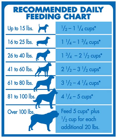 The Unconscious Messages: Understanding What Your Choices of Canine Feeding Vessels Reveal About You