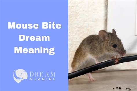 The Unexpected Symbolism of a Mouse Bite in Dreams