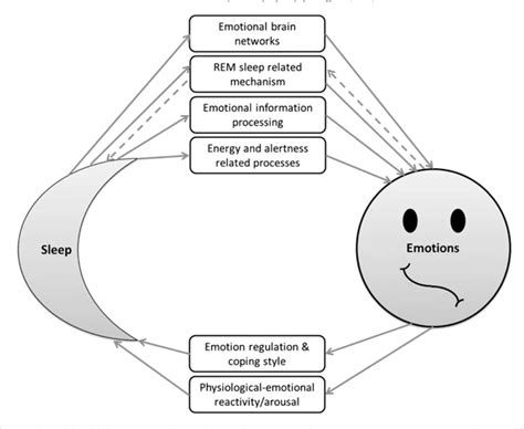 The Unexpected methods your mind processes emotional memories during sleep