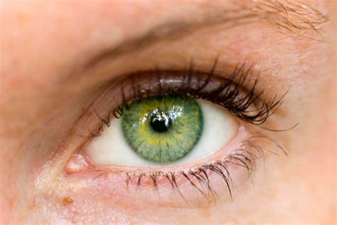 The Uniqueness of Green Eyes