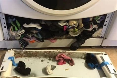 The Vanishing Act: Where do all the socks disappear to?