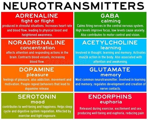 The Various Emotions Linked to Ingesting Medication in Dreams