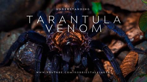 The Venomous Bite: Unraveling the Lethal Potency of Verdant Serpents