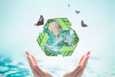 The Vital Role of Green in Promoting Sustainable Living: Enhancing Environmental Awareness and Responsibility