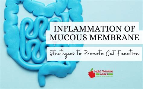 The Vital Role of Mucus in Promoting Optimal Health