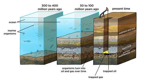 The Wealth Below: Comprehending the Geology of Oil Formation