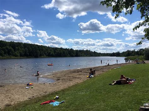 The Wealth of Cristy Lake