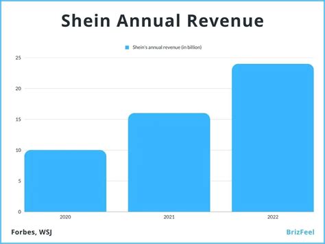 The Wealth of Liron Shein and Financial Achievements