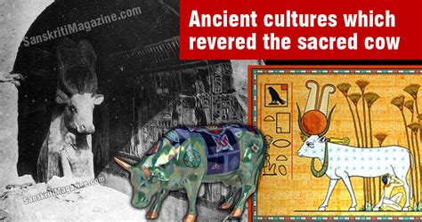 The White Cow as a Sacred Symbol in Ancient Cultures