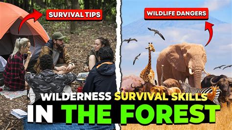 The Wilderness Survival Challenge: Mastering the Zombie-Infested Forests