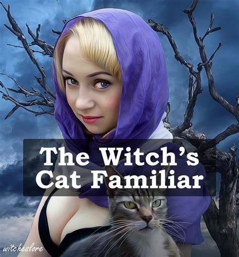 The Witch's Familiar: Dark Feline Companions in Esoteric and Enchanting Traditions