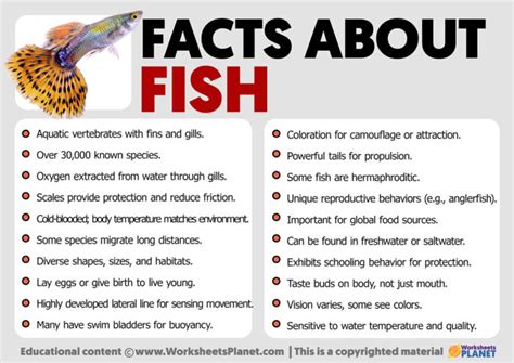 The Wonders of Black Fish: Fascinating Facts and Characteristics