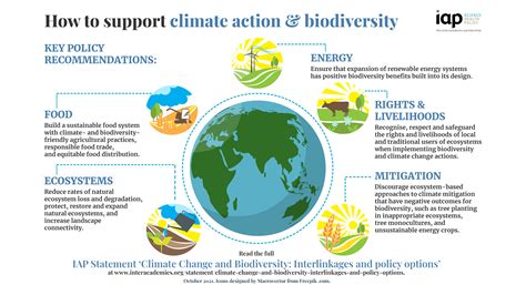 The environmental impact of ice gliding and measures for conservation