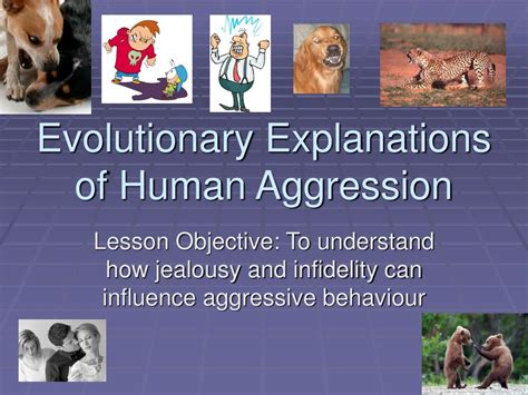 The primal instinct of aggression: An evolutionary perspective