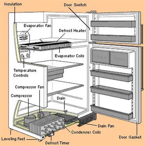 Theories About the Fridge's Location