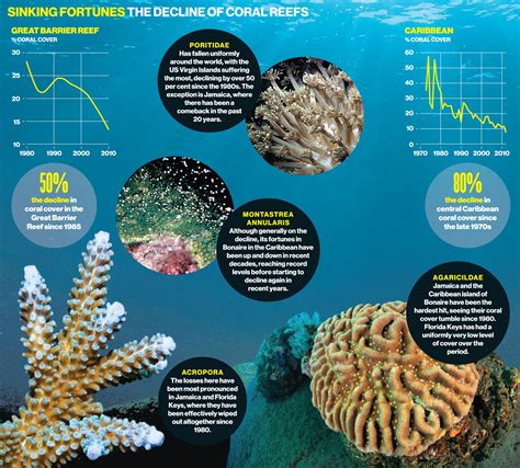 Threats to the Deep: Understanding the Environmental Challenges of Underwater Life